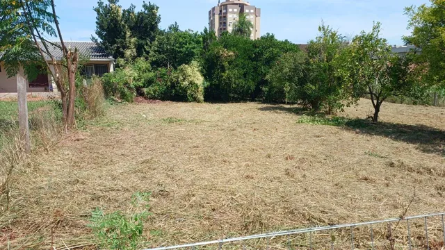 Terreno
