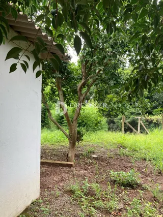 Área rural, foto 5