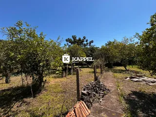 Vista externa de uma área com vegetação e um caminho de terra.