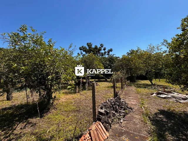 Vista externa de uma área com vegetação e um caminho de terra.