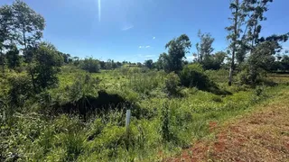 Área rural com 4 dormitórios, foto 17
