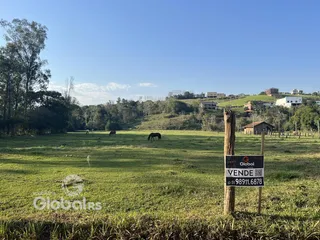 Paisagem de campo com pastagem e árvores no fundo.