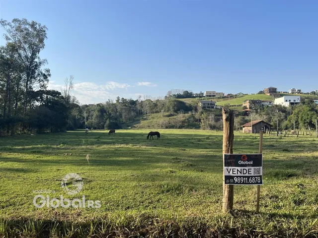 Paisagem de campo com pastagem e árvores no fundo.