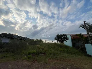 Terreno, foto 3