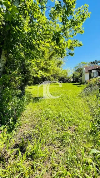 Terreno, foto 19
