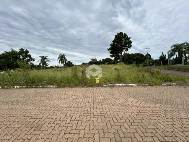 Vista da propriedade com vegetação alta e área pavimentada na frente.
