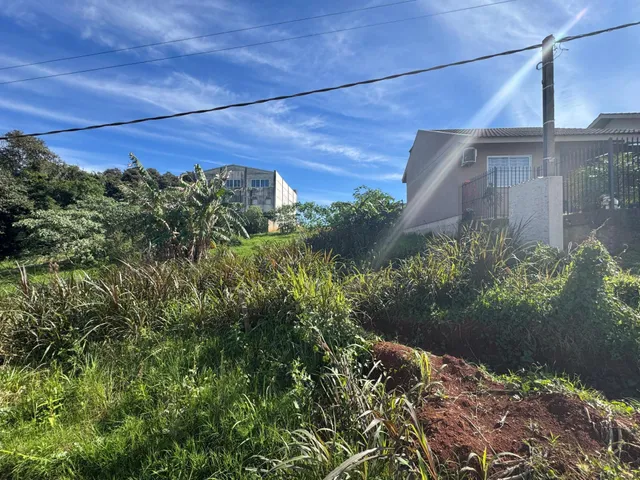 Terreno