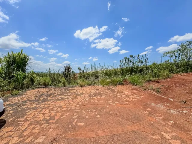 Vista externa de um terreno com vegetação densa sob um céu azul.