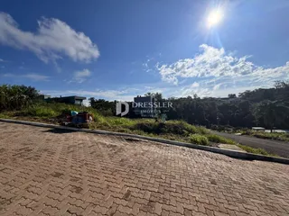 Vista da propriedade com vegetação e área pavimentada.
