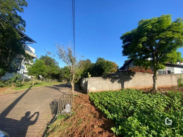 Vista externa de uma propriedade com vegetação e muro.