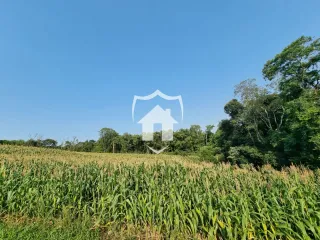 Área rural, foto 3