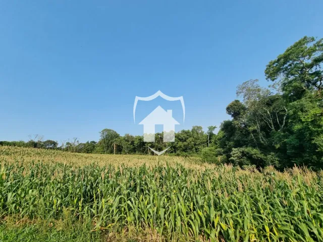 Área rural, foto 3