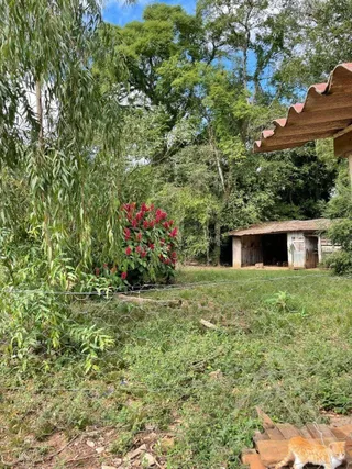Área rural com 3 dormitórios, foto 13