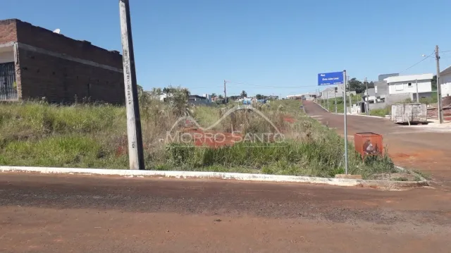 Vista externa de uma rua com vegetação alta e poste no centro.