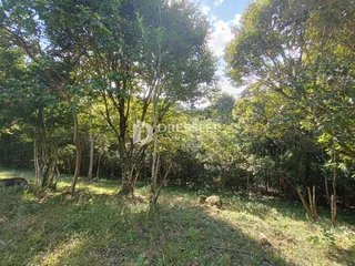Área rural com 2 dormitórios, foto 15