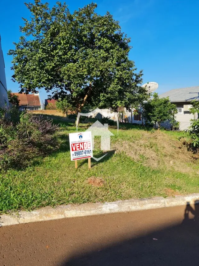 Terreno
