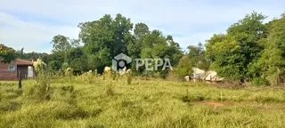 Área rural, foto 19