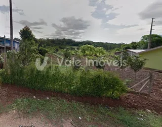 Vista de terreno com vegetação densa e árvores ao fundo.