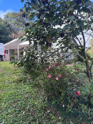 Área rural com 2 dormitórios, foto 2