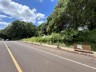 Vista da estrada em Lajeado, Brasil, com vegetação ao lado.