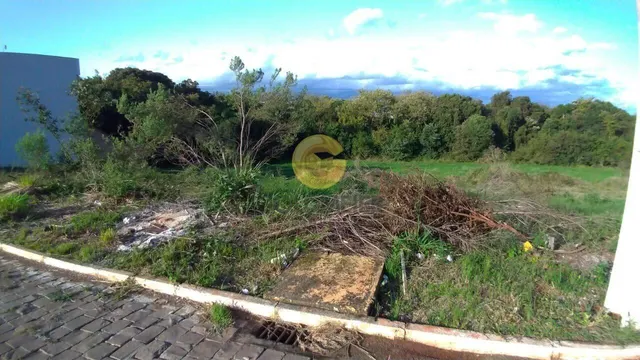 Terreno, foto 2