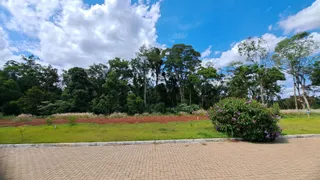 Terreno, foto 3