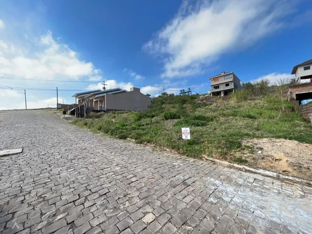 Terreno, foto 3