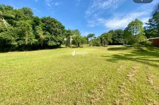 Vista de um campo gramado com árvores ao fundo.