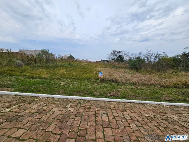 Terreno, foto 2