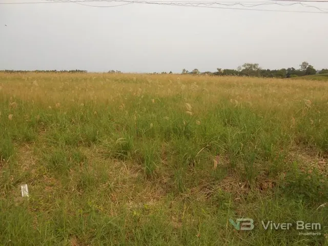 Terreno, foto 4