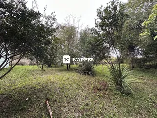 Área rural com 2 dormitórios, foto 19
