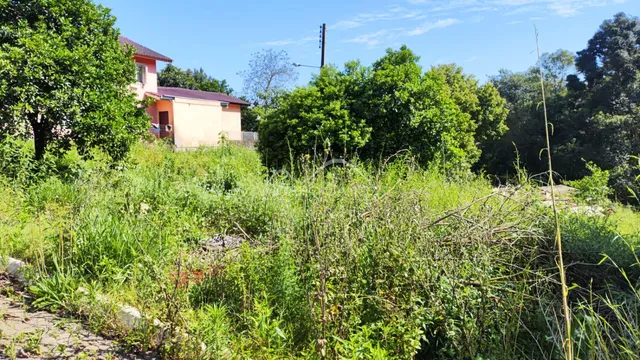 Terreno, foto 4