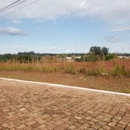 Vista externa mostrando uma área de terra com vegetação alta.