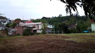 Terreno, foto 2