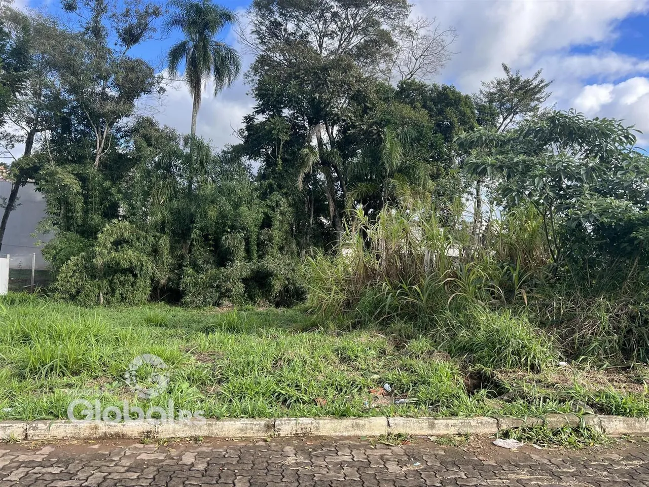 Vista da propriedade com vegetação densa e grama na frente.