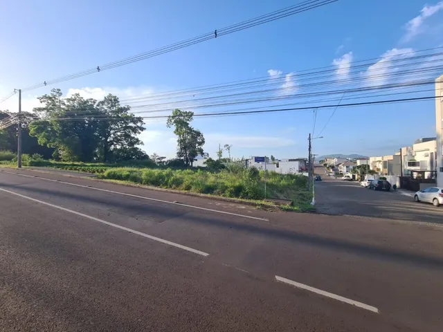 Vista de uma rua com vegetação ao lado.