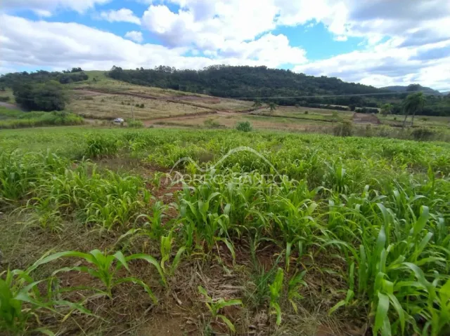 Área rural, foto 2