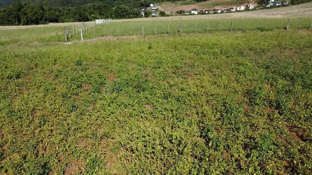Terreno, foto 4