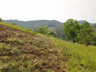 Paisagem de colinas verdes com vegetação densa ao fundo.