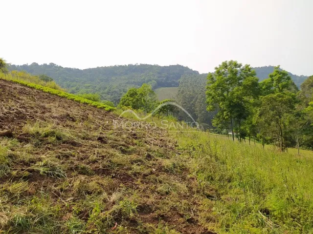 Paisagem de colinas verdes com vegetação densa ao fundo.
