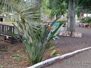 Área rural, foto 3
