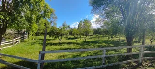 Área rural com 5 dormitórios, foto 15
