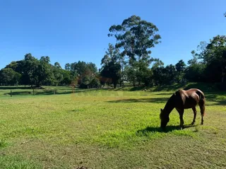 Área rural com 1 dormitório, foto 15