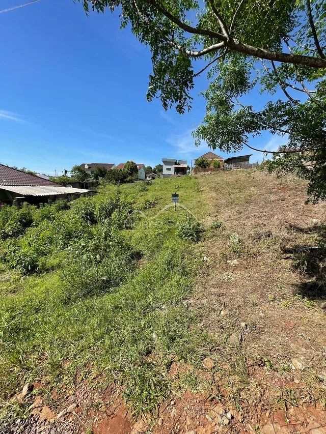 Terreno, foto 2
