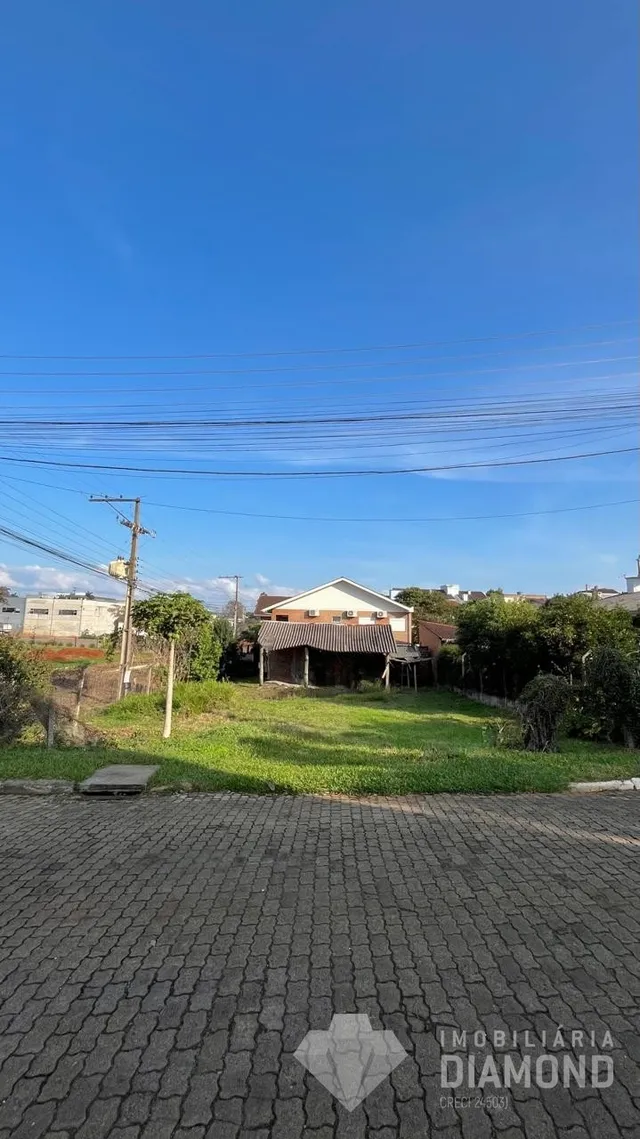 Terreno, foto 5