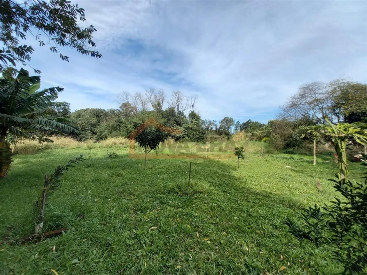 Terreno, foto 1
