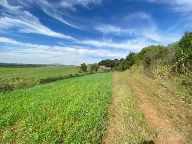 Área rural com 3 dormitórios, foto 5