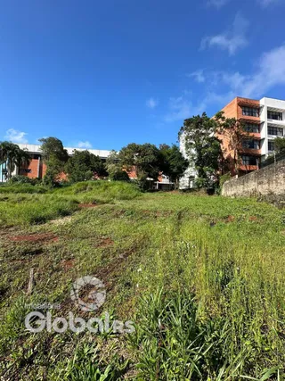 Vista externa de uma propriedade com vegetação alta no primeiro plano.