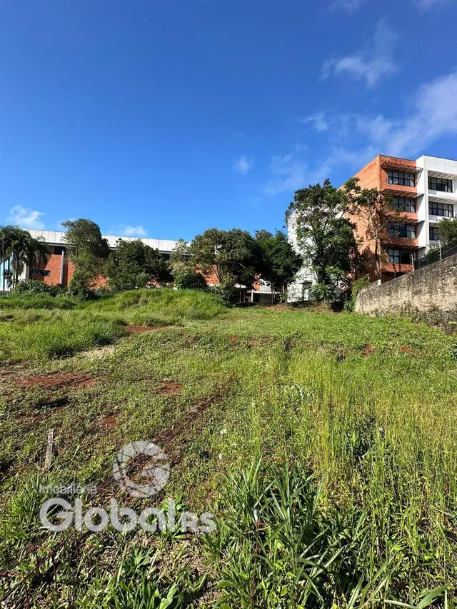 Vista externa de uma propriedade com vegetação alta no primeiro plano.