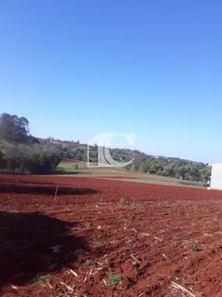 Área rural, foto 18